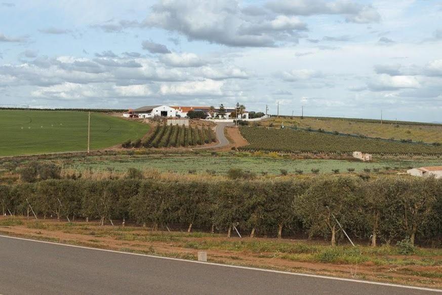 Quinta Do Castelo Ξενοδοχείο Μπέχα Εξωτερικό φωτογραφία